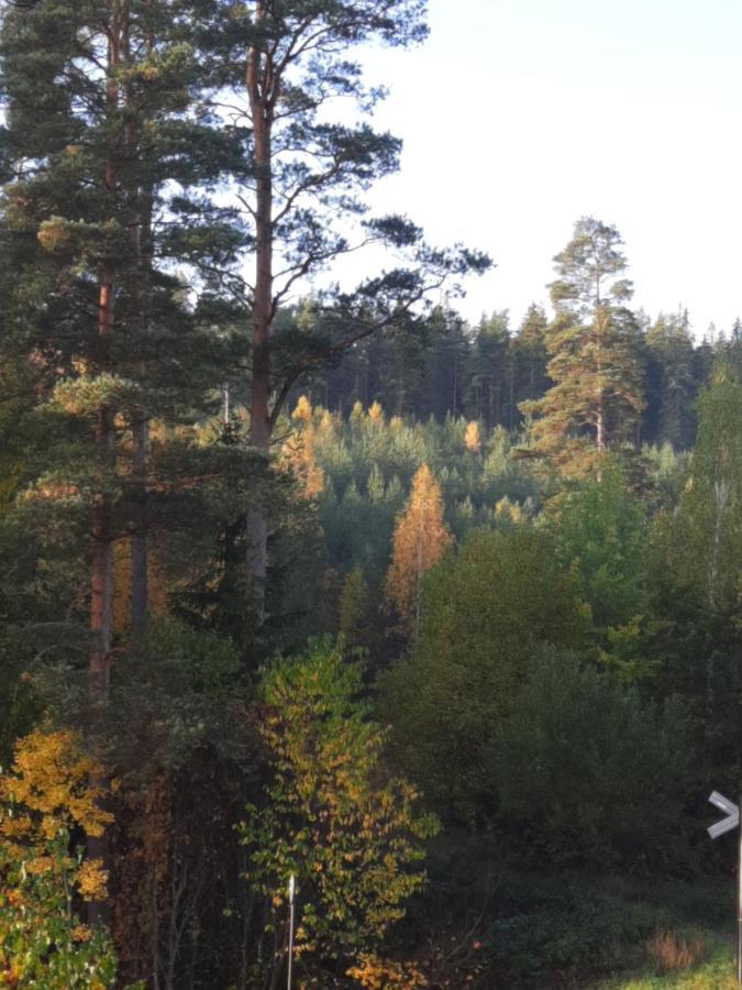 Aelghuset Silverdalen Exterior foto